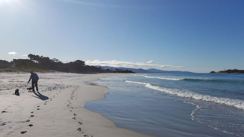 Suntrap Cove Bicheno - Accommodation QLD 5