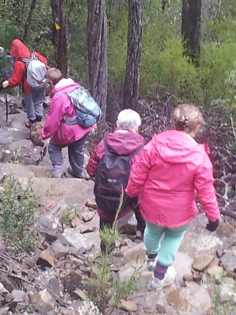 Suntrap Cove Bicheno - Accommodation QLD 2