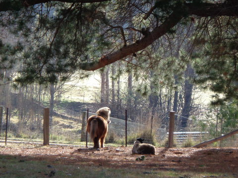 Post House Cottage - Accommodation QLD 17