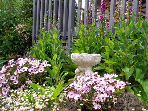 Post House Cottage - Accommodation QLD 19