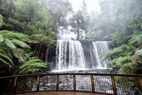 Post House Cottage - Accommodation QLD 23