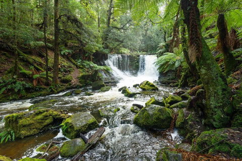 Post House Cottage - Accommodation QLD 22