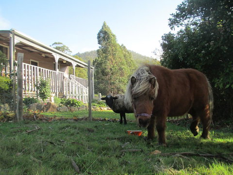 Post House Cottage - Accommodation QLD 3