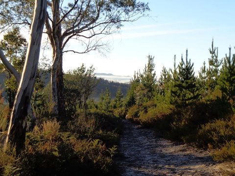 Post House Cottage - Accommodation QLD 24