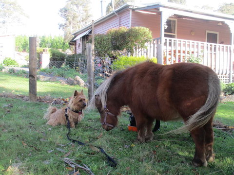 Post House Cottage - Accommodation QLD 4