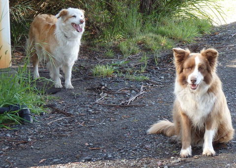 Karoola Cottage Self Contained - Accommodation QLD 14