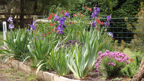 Karoola Cottage Self Contained - Accommodation QLD 0