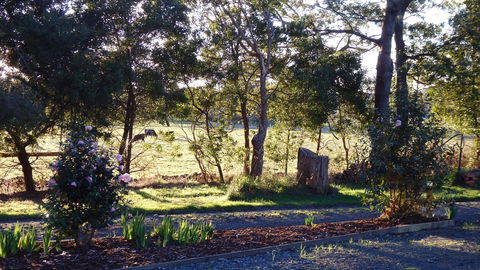 Karoola Cottage Self Contained - Accommodation QLD 25