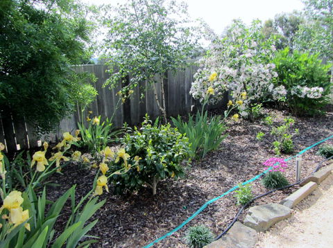 Elm Trees Accommodation @ Ross - Accommodation QLD 6