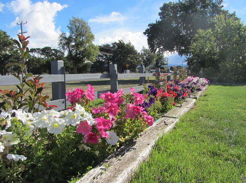 Elm Trees Accommodation @ Ross - Accommodation QLD 24
