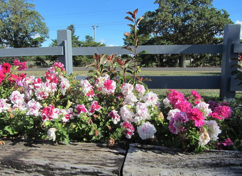 Elm Trees Accommodation @ Ross - Accommodation QLD 25