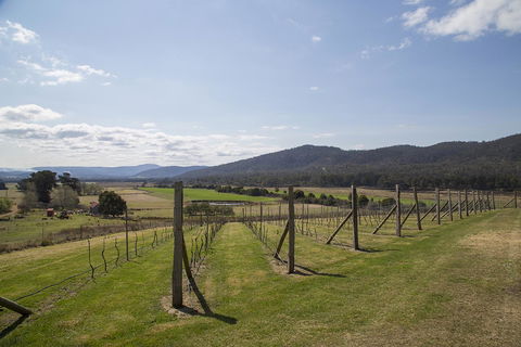 Twamley Farm - Accommodation QLD 7