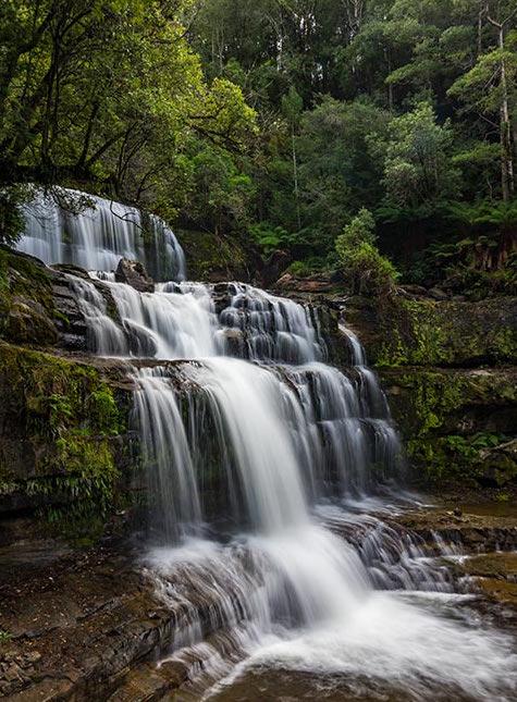 Mountain Blue Guest House - Accommodation QLD 22