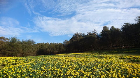 Mountain Blue Guest House - Accommodation QLD 21