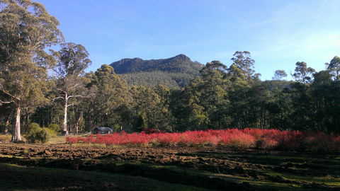 Mountain Blue Guest House - Accommodation QLD 23