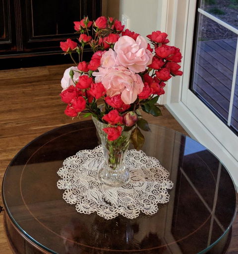 Mountain Blue Guest House - Accommodation QLD 8