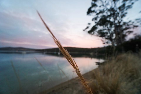 Free Spirit Pods - Accommodation QLD 8