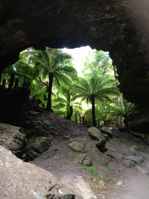 Sheer Pleasure Accommodation - Accommodation QLD 21