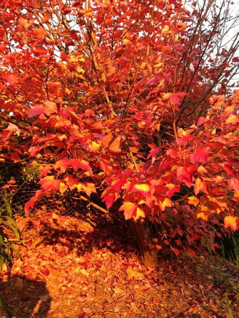 Sheer Pleasure Accommodation - Accommodation QLD 26