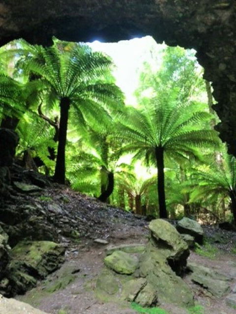 Sheer Pleasure Accommodation - Accommodation QLD 22