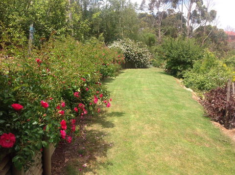 Sheer Pleasure Accommodation - Accommodation QLD 7