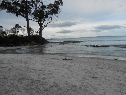 Bruny Ocean Cottage - Accommodation QLD 7