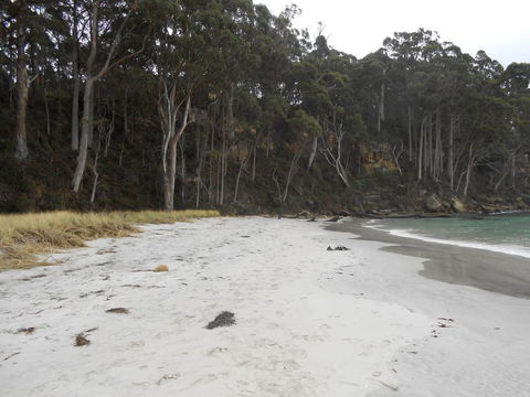 Bruny Ocean Cottage - Accommodation QLD 12