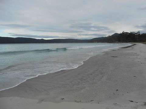 Bruny Ocean Cottage - Accommodation QLD 11