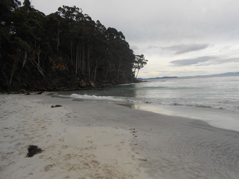 Bruny Ocean Cottage - Accommodation QLD 17