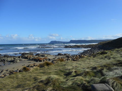 Bruny Ocean Cottage - Accommodation QLD 15