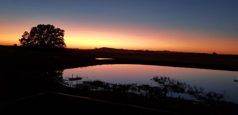 New Horizons Farm Stay - Accommodation QLD 1