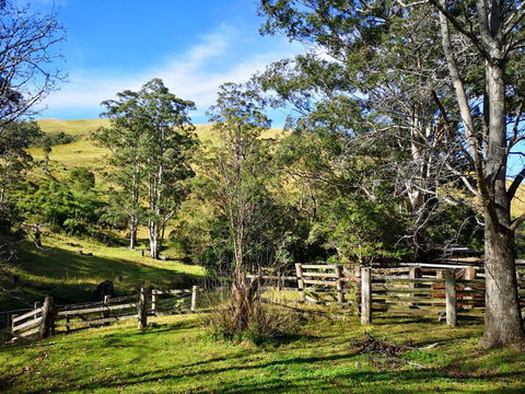 Nirvana Spiritual Retreat - Accommodation QLD 2
