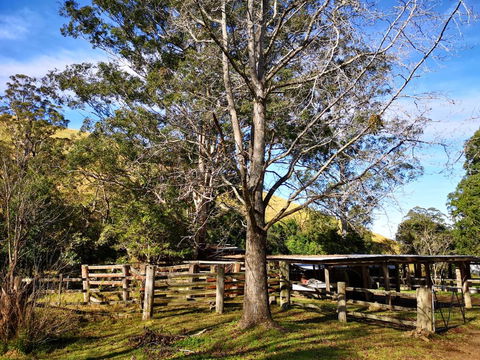 Nirvana Spiritual Retreat - Accommodation QLD 1