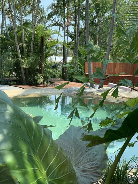 Noosa Beach Cottage - Accommodation QLD 3