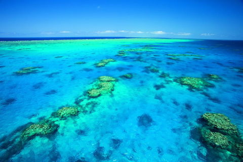 NRMA Cairns Holiday Park - Accommodation QLD 1