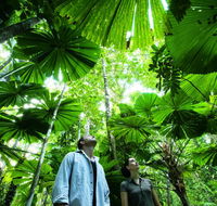 NRMA Cairns Holiday Park - Accommodation QLD