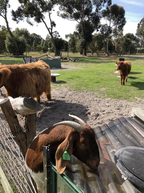 Nutcrackers Lodge - Accommodation QLD 2