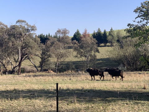 OConnell Retreat BnB - Accommodation QLD 1