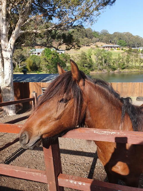 Park View Guest House - Accommodation QLD 1