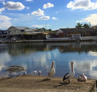 Pelican Cove Apartments - Accommodation QLD