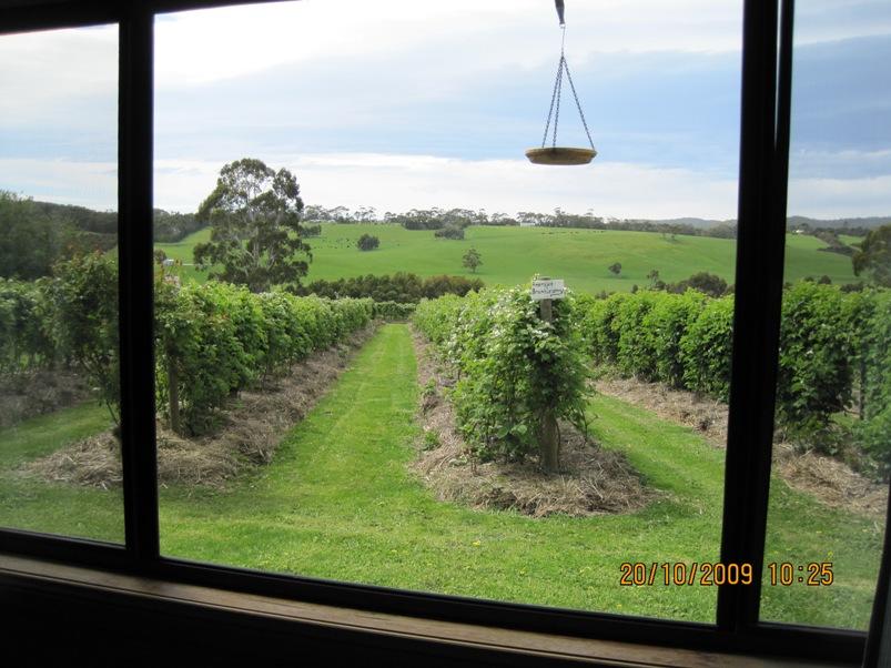 Barwon Downs ACT Accommodation QLD