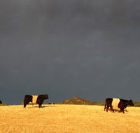 Peppertree Hill - Accommodation QLD