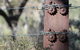 Pichi Richi Park - thumb 2