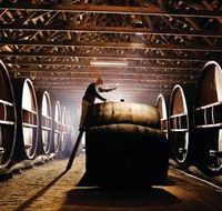 Pieter van Gent Winery  Vineyard - Accommodation QLD