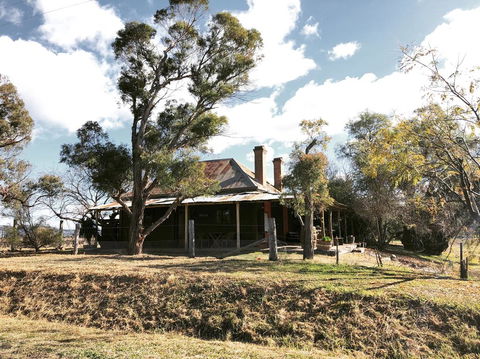 Pieter Van Gent Winery & Vineyard - Accommodation QLD 3