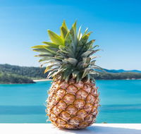 Pineapple House Whitsundays - Accommodation QLD