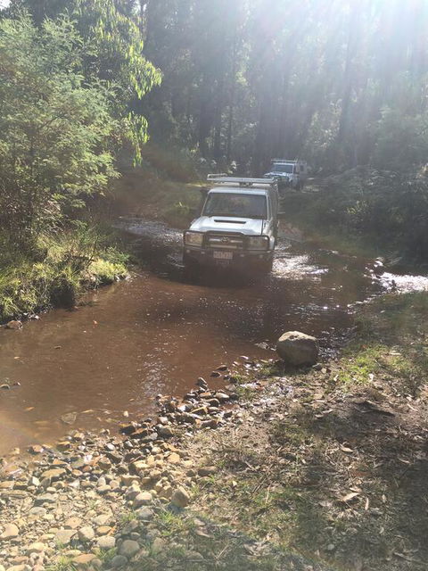 PNL 4WDriving Narbethong - Accommodation QLD 3