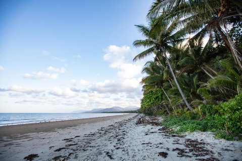 Port Douglas Mirage Villa #435 Absolute Beachfront - Accommodation QLD 1