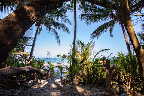 Port Douglas Mirage Villa #435 Absolute Beachfront - Accommodation QLD 2