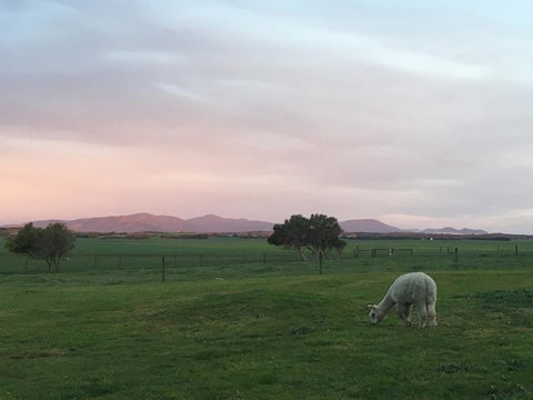 Promhills Cabins - Accommodation QLD 3